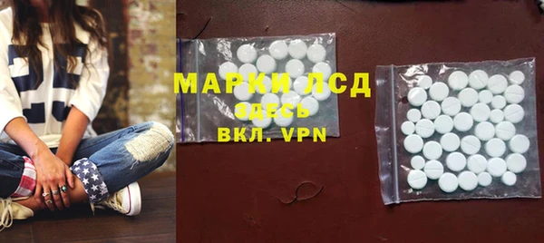 ГАЛЛЮЦИНОГЕННЫЕ ГРИБЫ Вязники