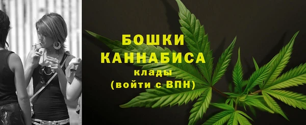 ГАЛЛЮЦИНОГЕННЫЕ ГРИБЫ Вязники