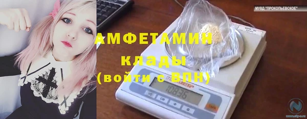 ГАЛЛЮЦИНОГЕННЫЕ ГРИБЫ Вязники