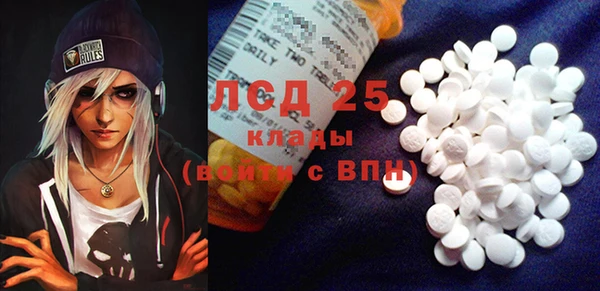 ГАЛЛЮЦИНОГЕННЫЕ ГРИБЫ Вязники