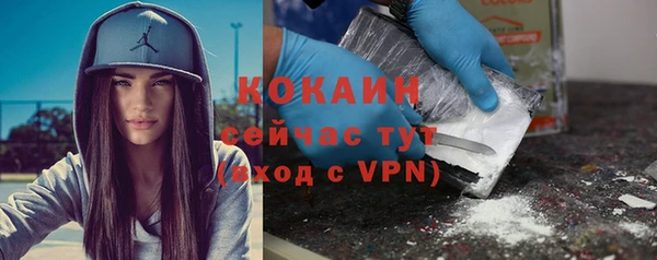 винт Вяземский