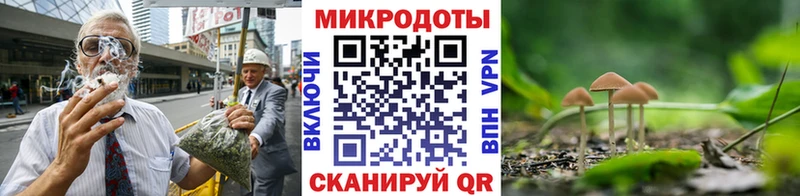 Купить закладки  Поворино  Псилоцибиновые грибы Magic Shrooms 